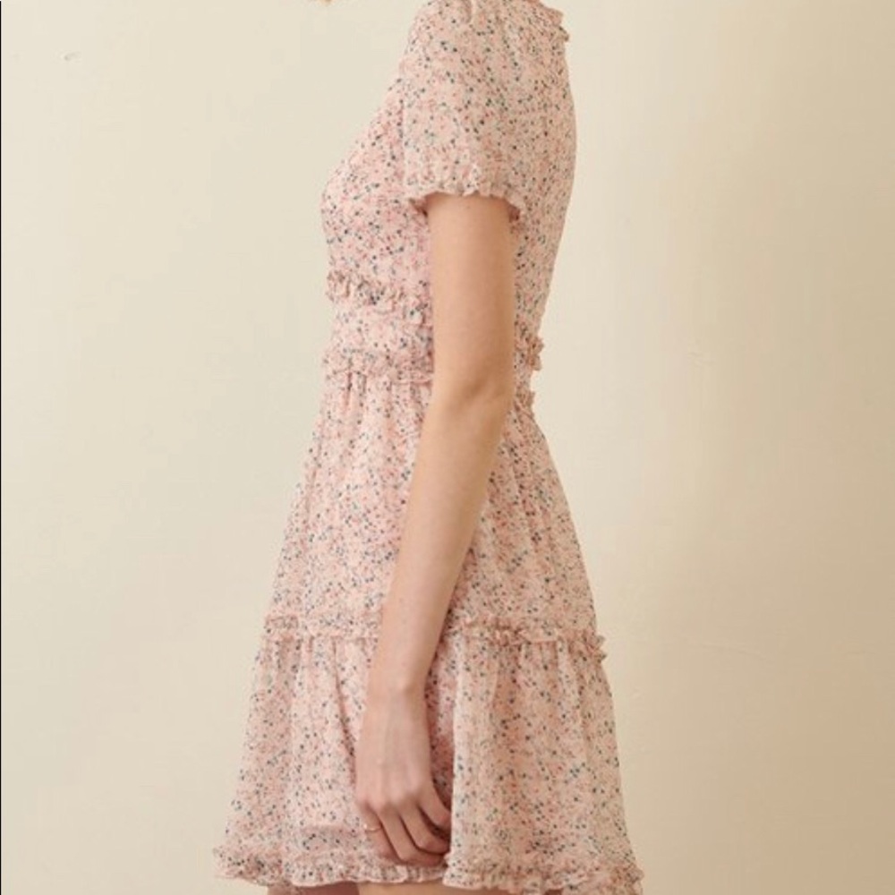 🌸English Garden Ruffle Dress In Rose🌸 - Picture 2 of 12